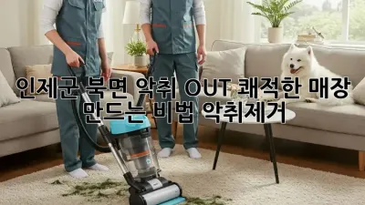 인제군 북면 악취 OUT! 👃쾌적한 매장 만드는 비법 #악취제거